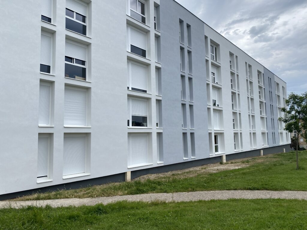IMG 0529