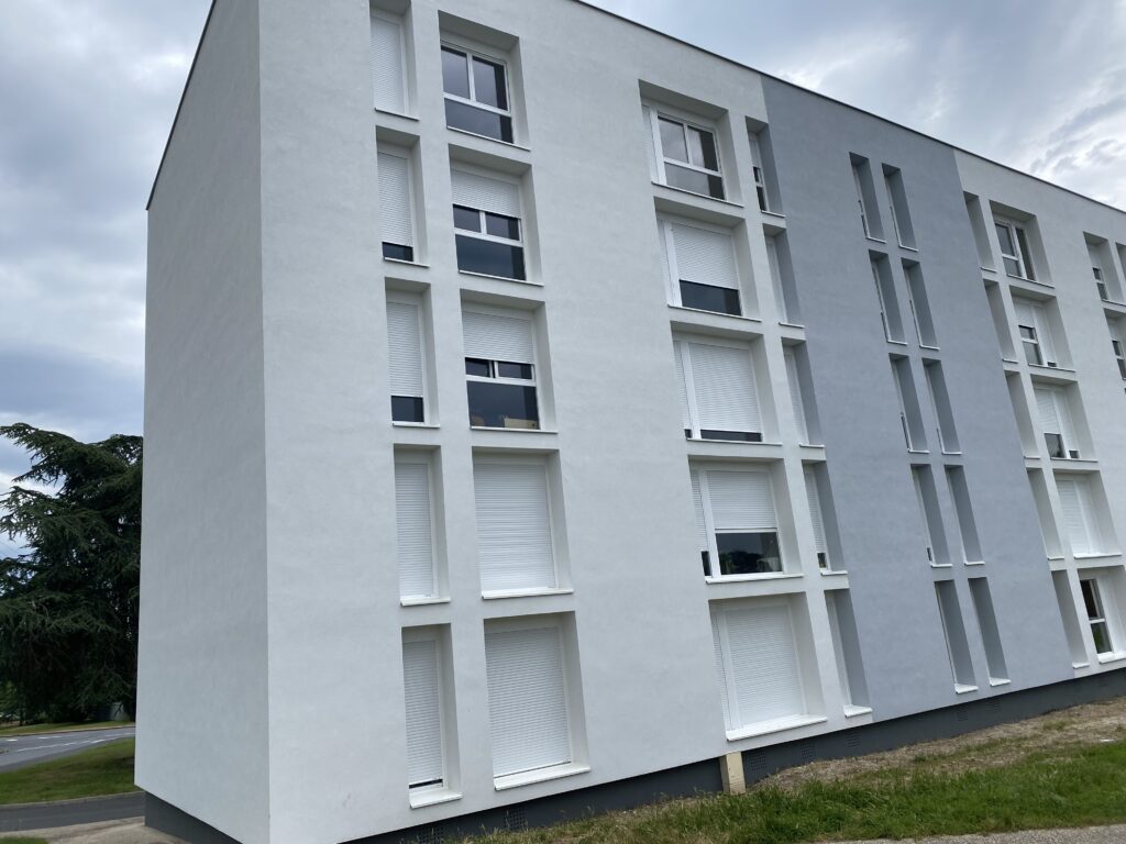 IMG 0530